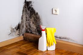 Best Residential Mold Inspection & Testing  in Homeacre Lyndora, PA